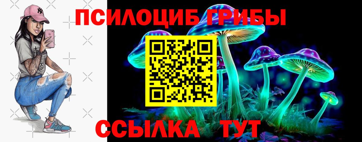 Галлюциногенные грибы ЛСД  купить  цена  Гусев  Вход с VPN 